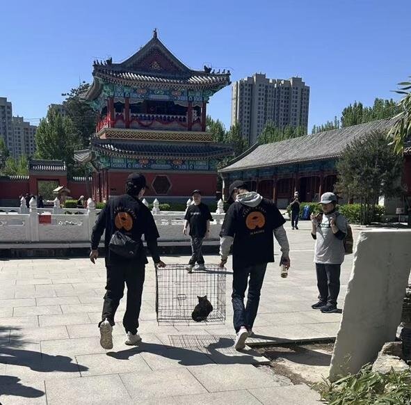 Trap-neuter-release at Buddhist temple