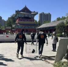 Trap-neuter-release at Buddhist temple