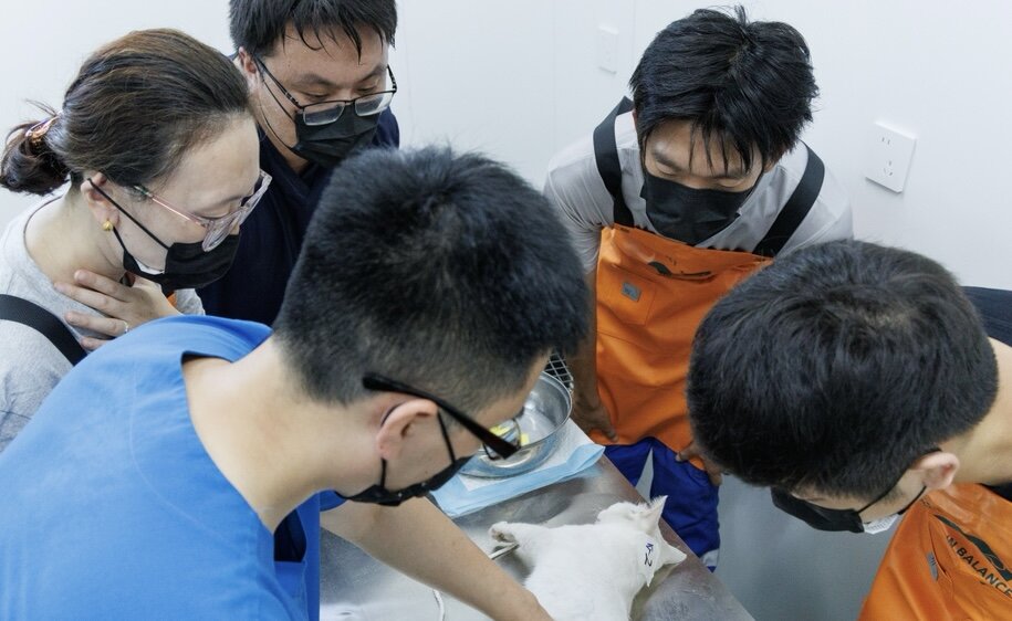 Young vets at our Spay/Neuter Training Center