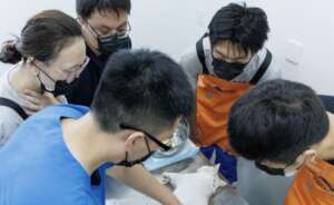 Young vets at our Spay/Neuter Training Center
