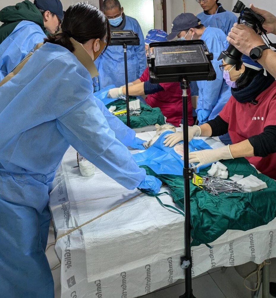 Growing Our Spay/Neuter Initiative in China!