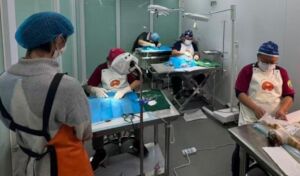 Spay and Neuter Training Center
