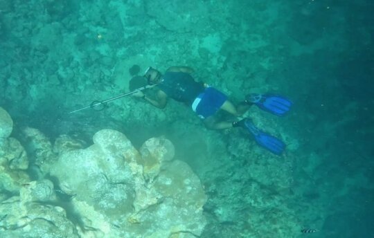 Manoa Spearfishing  Figure 8