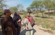 Urban Forestation - Sukkur (UHI)