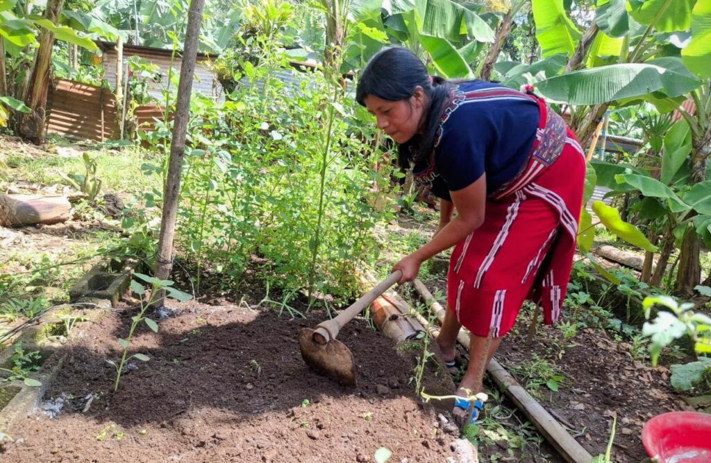 Team member, Ana, tending to a family garden