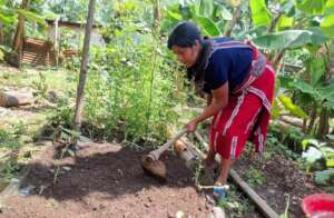 Team member, Ana, tending to a family garden