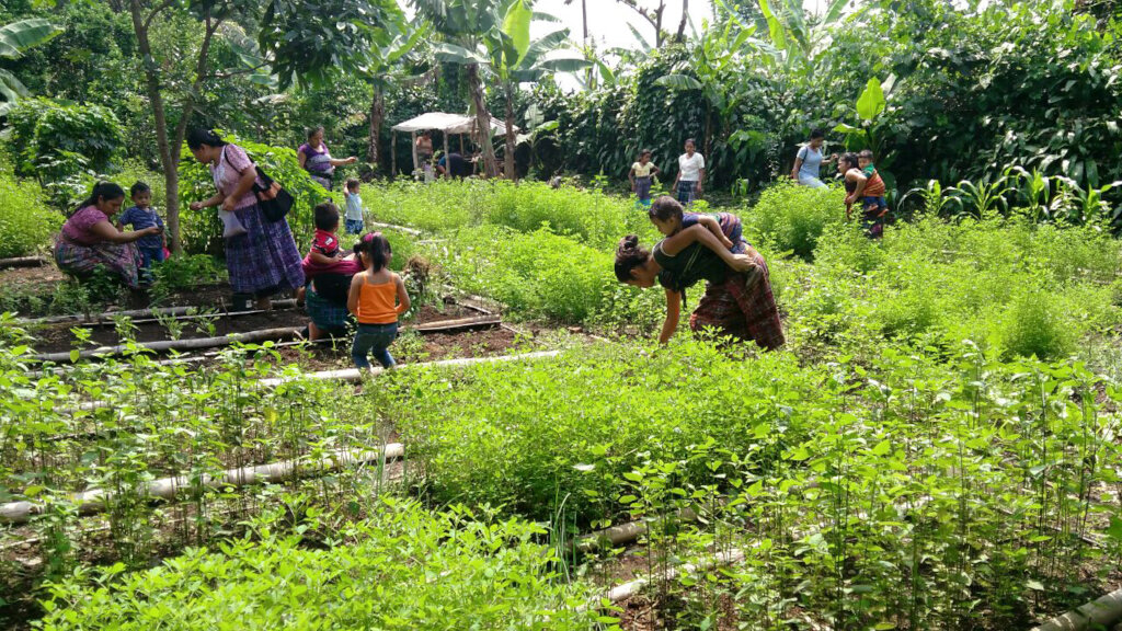 Save Families from a Lifetime of Malnutrition