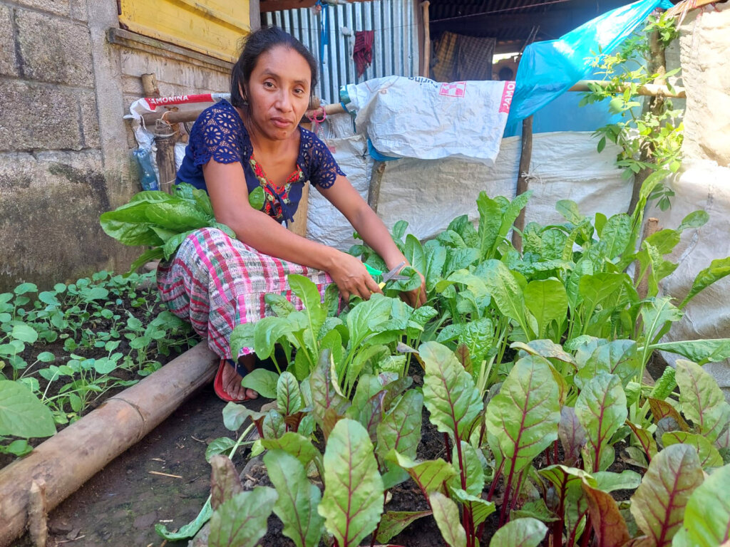 Save Families from a Lifetime of Malnutrition