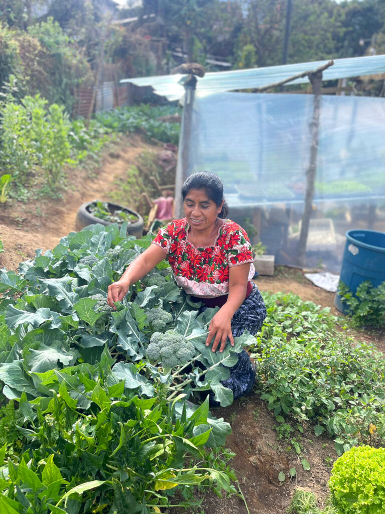 Save Families from a Lifetime of Malnutrition