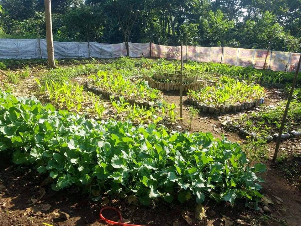 Save Families from a Lifetime of Malnutrition