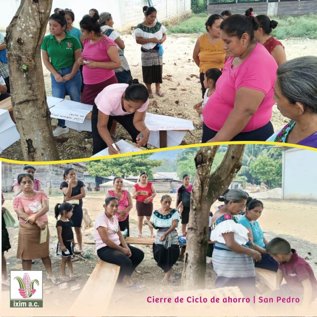 Empowering Mexico's Jungle:14 NativeWomenStart Up