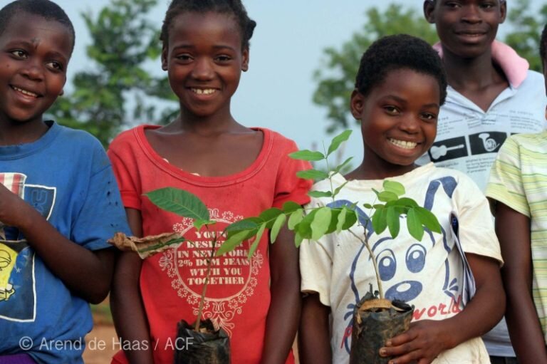 Trees for Mozambique: Give Wildlife a Home
