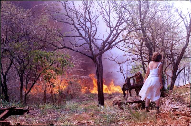 Trees for Mozambique: Give Wildlife a Home