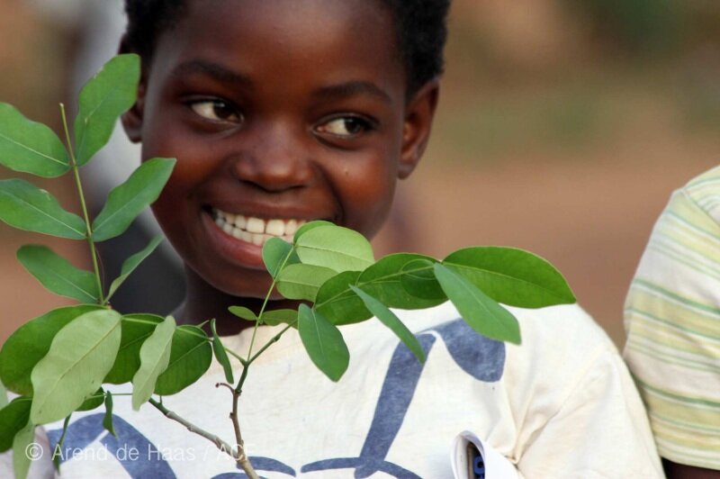 Trees for Mozambique: Give Wildlife a Home