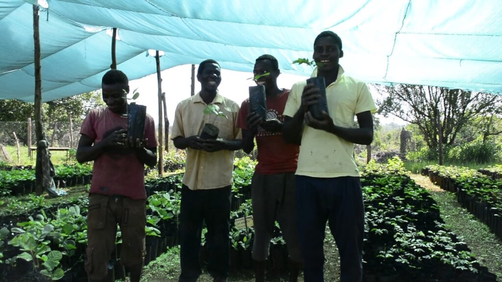 Nursery workers in Nhamacoa forest