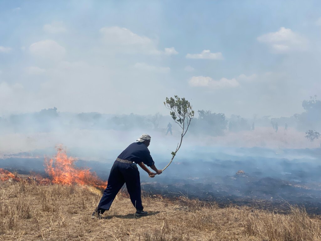 Fire Response and Future Resilience