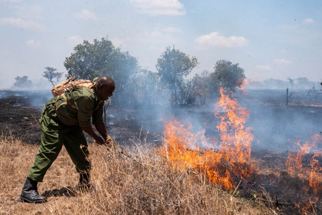 Fire Response and Future Resilience