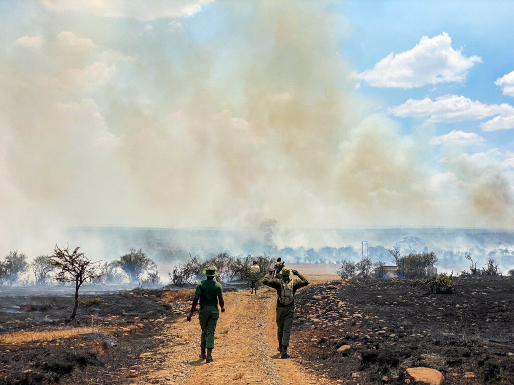 Fire Response and Future Resilience