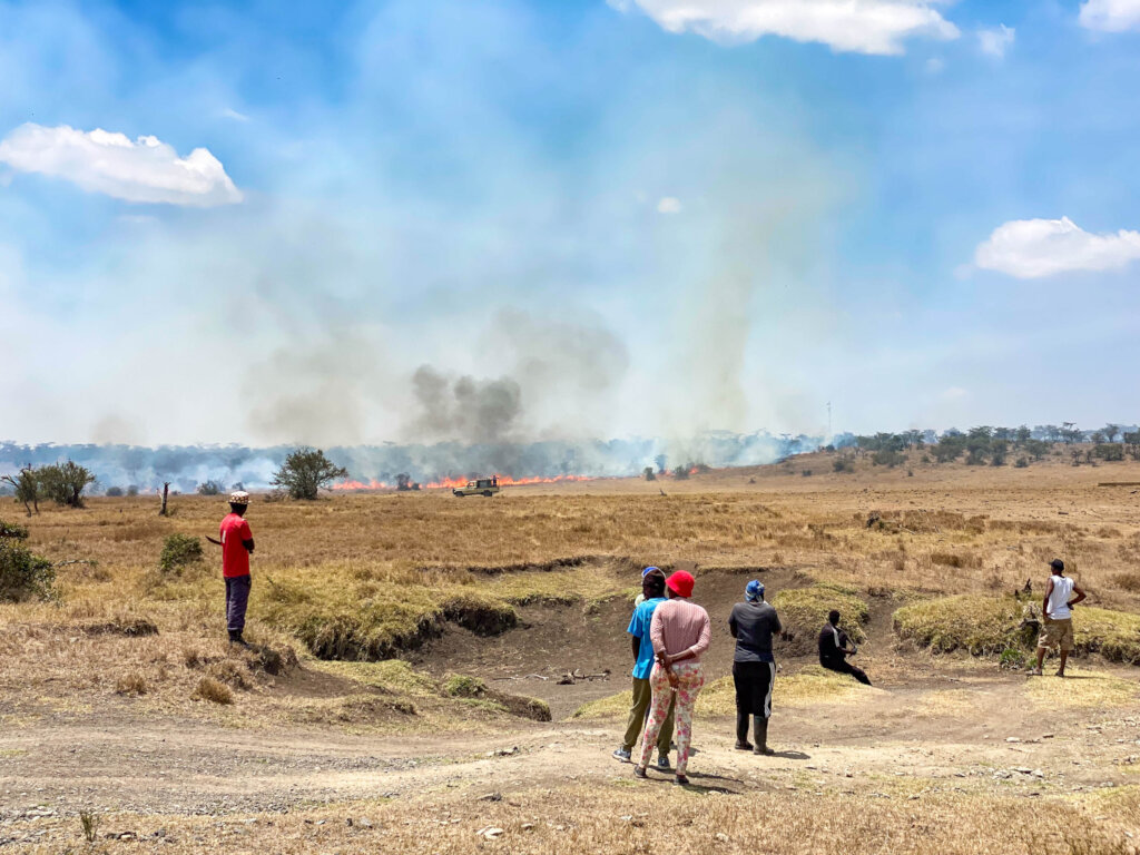 Fire Response and Future Resilience