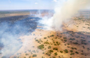 Fire Response and Future Resilience