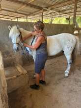 Rainbow enjoying a lovely massage