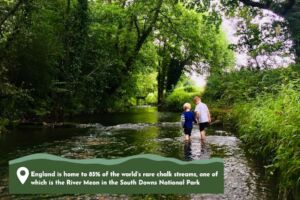 River Meon, South Downs National Park
