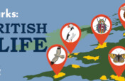 Save Wildlife in British National Parks