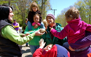 Public Learns About Endangered Turtles in Maine