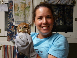 Volunteer receives hands on experience with owl