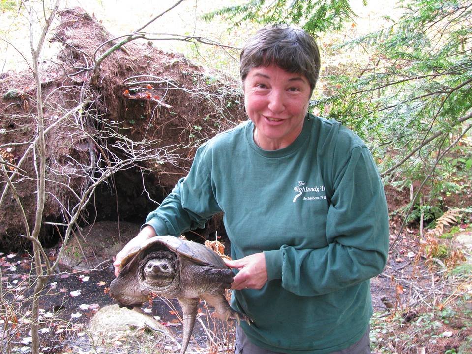 Rescuer releases 30+ old turtle back to the wild!