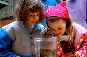 Center for Wildlife Connects Community to Wildlife
