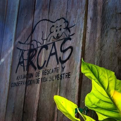 Rescue & Release: Protecting Guatemala's Wildlife