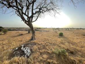 The arid landscape of Taru