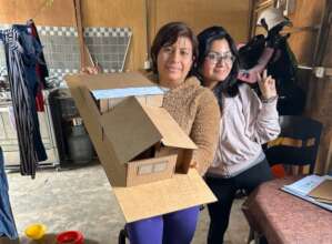 Participatory design workshop