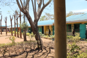Grade 4-9 Block