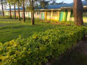 Middle School & Junior School Section