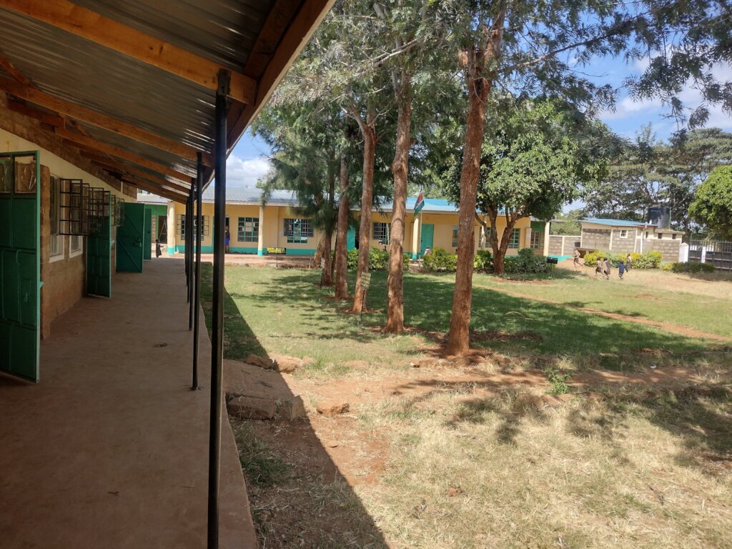 Support Quality Schooling of 250 Kids in Nguluni