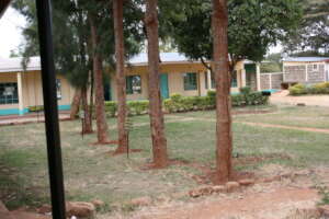 Administration  & Grade 7 Block View