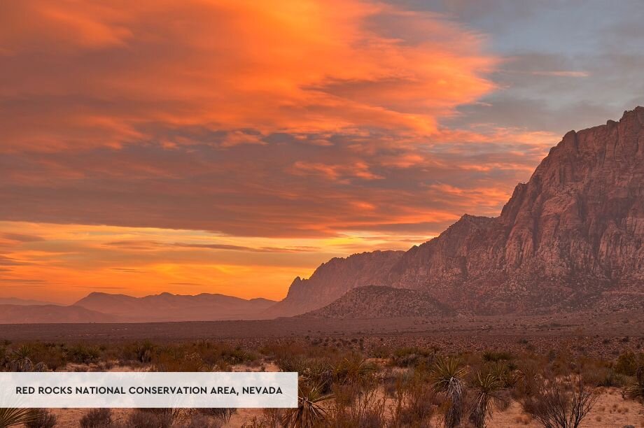 Help Protect the Future of America's Public Lands