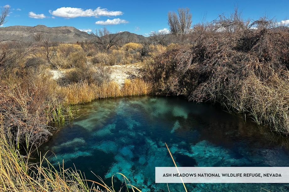 Help Protect the Future of America's Public Lands