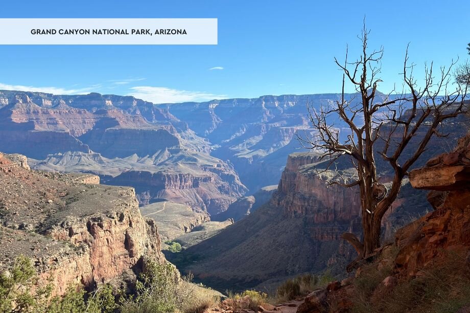 Help Protect the Future of America's Public Lands