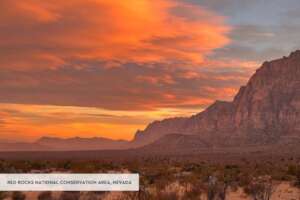 Red Rock Canyon National Conservation Area