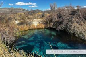 Ash Meadows National Wildlife Refuge