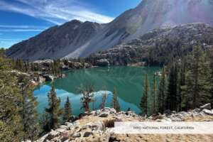Inyo National Forest