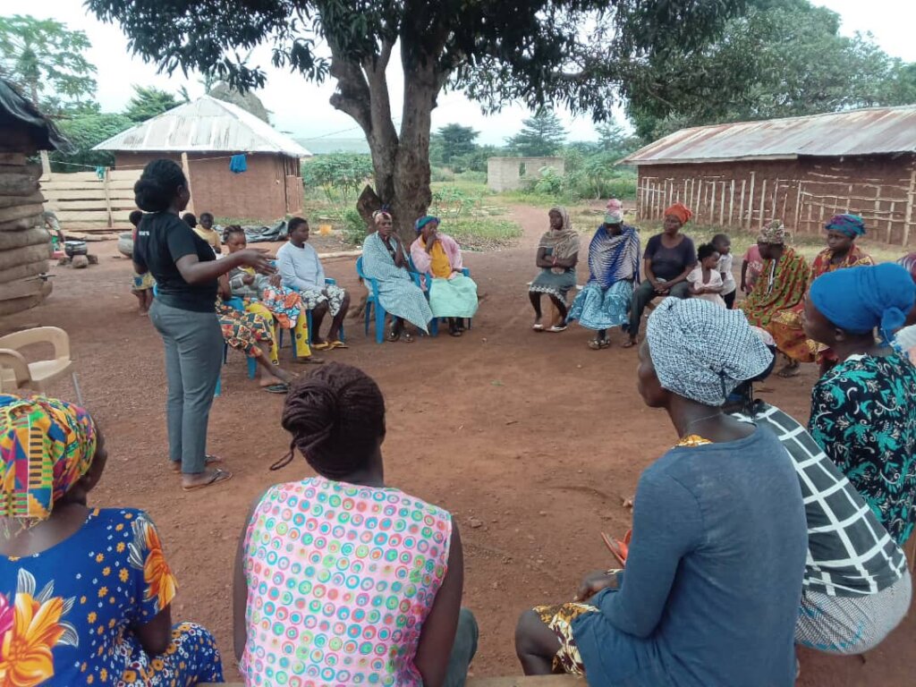 Innovative Climate-Smart Agriculture in Ghana