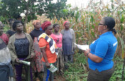 Innovative Climate-Smart Agriculture in Ghana