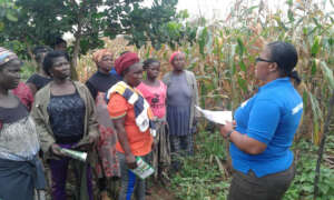 Innovative Climate-Smart Agriculture in Ghana