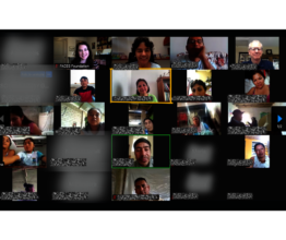 Screenshot of Webinar with Psychologist