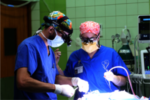Surgeons at work