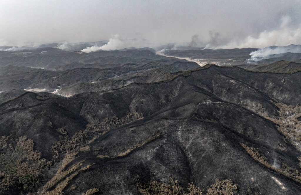 Emergency Support for Wildfire Victims, Korea
